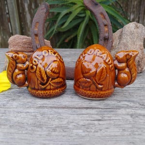 Vintage Colorado Souvenir Ceramic Salt & Pepper Shakers