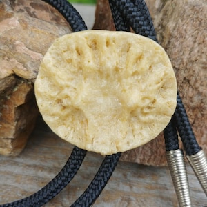 Handcrafted Deer Antler Burr Bolo Tie
