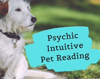 Intuitive Psychic PET READING | Understand Your Anxious or Misbehaving Pet | Animal Communication | Pet Tarot Reading | Animal Psychic