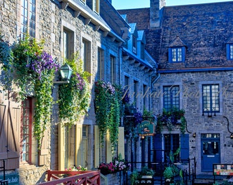 Vertical flower boxes, Old Quebec City, Canada, Quaint vintage town,Metal, canvas, art print photo photograph, Montreal, Urban Home Décor