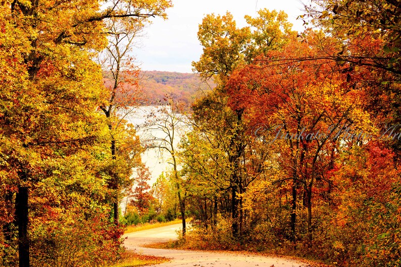 May include: A scenic autumn landscape featuring a winding dirt road leading towards a lake. The trees are filled with vibrant fall foliage in shades of yellow, orange, and red. The sky is a pale blue, and the overall scene evokes a sense of tranquility.