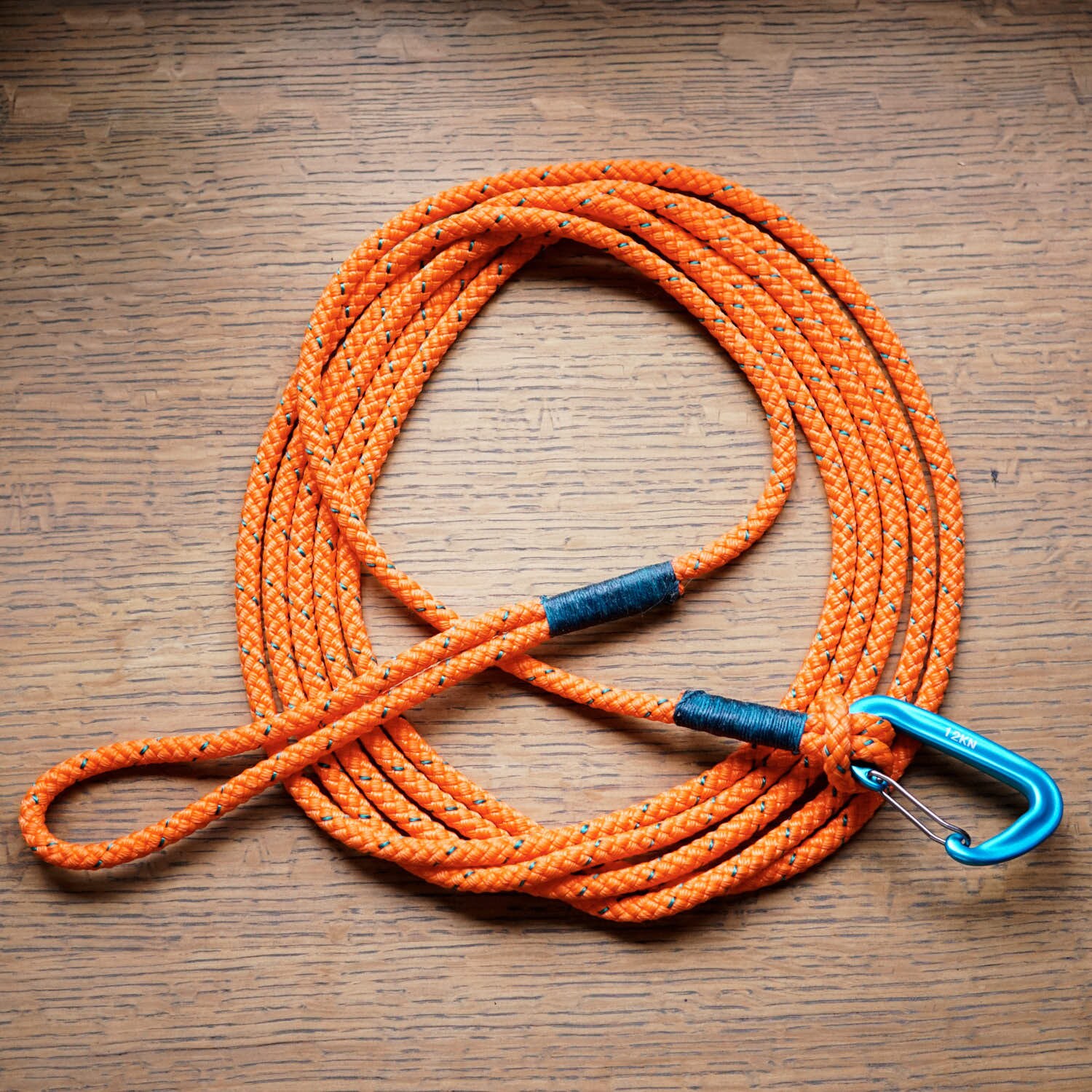 Long Rope Leash Orange Rope Long Line Lightweight Etsy New Zealand