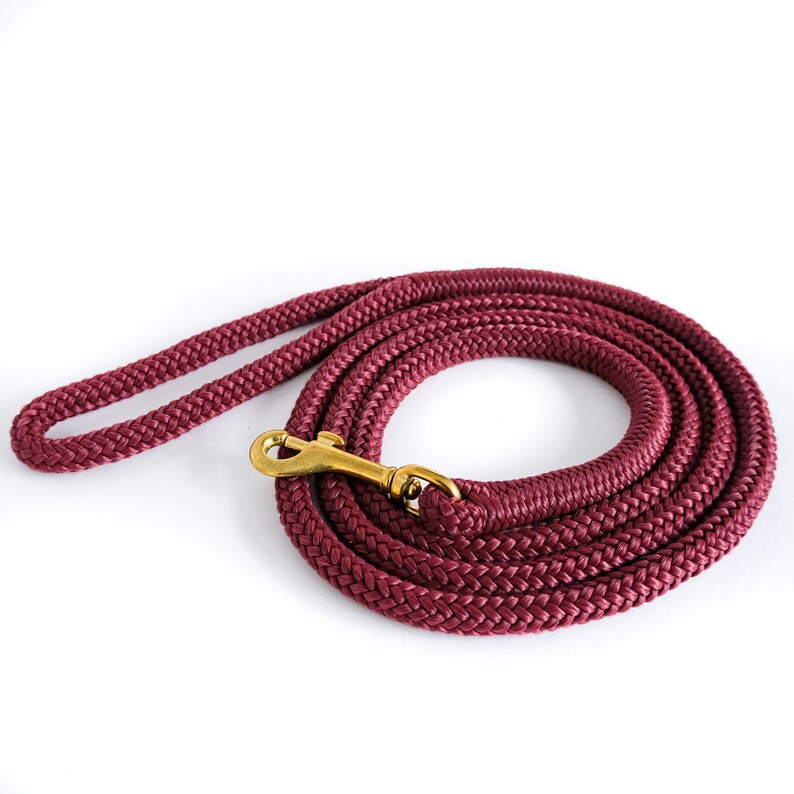 red rope dog lead