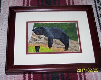 Bear Napping in Tree