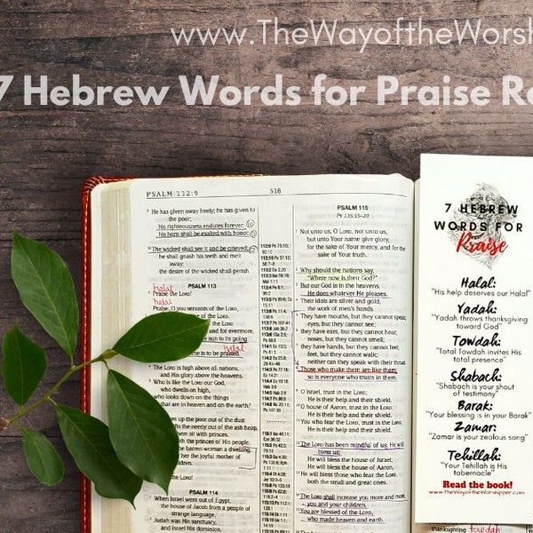 7 Hebrew Words for Praise Reference Bible Study Bookmark