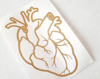 Anatomical Heart Decal, Heart Decal, Anatomy Stickers, Healthcare Decal, Medical, Laptop Decal, Car Decals, Nurse Stickers, RN Tumbler Decal
