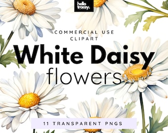 White Daisy Daisies Flowers Clipart Pack, Clip art for commercial use, Transparent PNGs, Royalty Free Florals Flowers