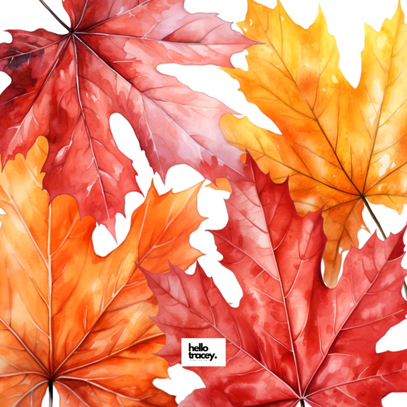 Maple Leaf Clipart PNG, Autumn Leaves Clip Art, Commercial Use ...