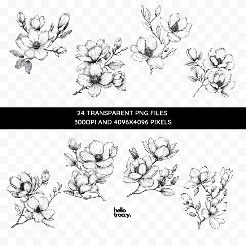 Magnolia Flower Outlines Clipart Pack, Magnolia Floral Clip art for commercial use, Transparent PNGs, Royalty Line Art Flowers