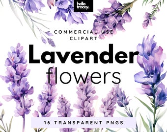 Lavender Flowers Clipart Pack, Clip art for commercial use, Transparent PNGs, Royalty Free Florals Purple Flowers