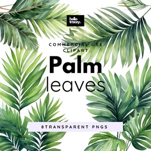Palmboombladeren blad clipartpakket, illustraties voor commercieel gebruik, transparante png's, Royalty-vrij groen blad png-groen