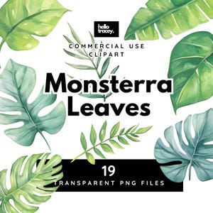 Monstera Leaves Leaf Clipart Pack, Monsterra Green Tropical Leaves Clip art for commercial use, Transparent PNGs