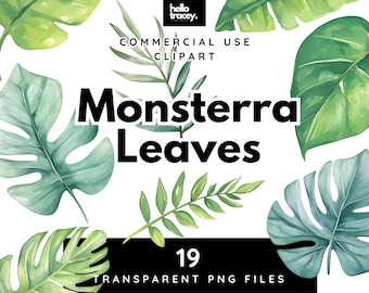 Monstera Leaves Leaf Clipart Pack, Monsterra Green Tropical Leaves Clip art for commercial use, Transparent PNGs