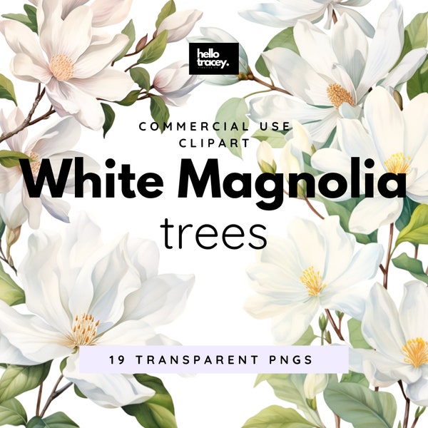 White Magnolia Tree Clipart PNG, Magnolia Branches Clip art for commercial use, Transparent PNGs, Royalty Free Trees, Digital stickers