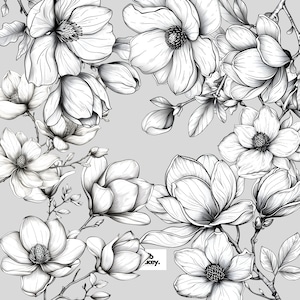 Magnolia Flower Outlines Clipart Pack, Magnolia Floral Clip art for commercial use, Transparent PNGs, Royalty Line Art Flowers