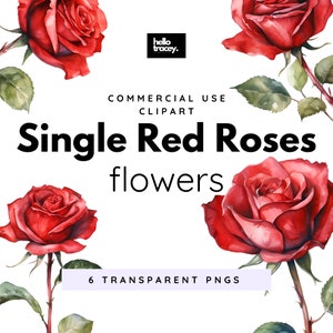 Red Rose Watercolor PNG clipart, Single Roses Valentines Day Romantic PNGs clip art, Royalty Free, Digital stickers