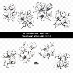 Magnolia Flower Outlines Clipart Pack, Magnolia Floral Clip art for commercial use, Transparent PNGs, Royalty Line Art Flowers