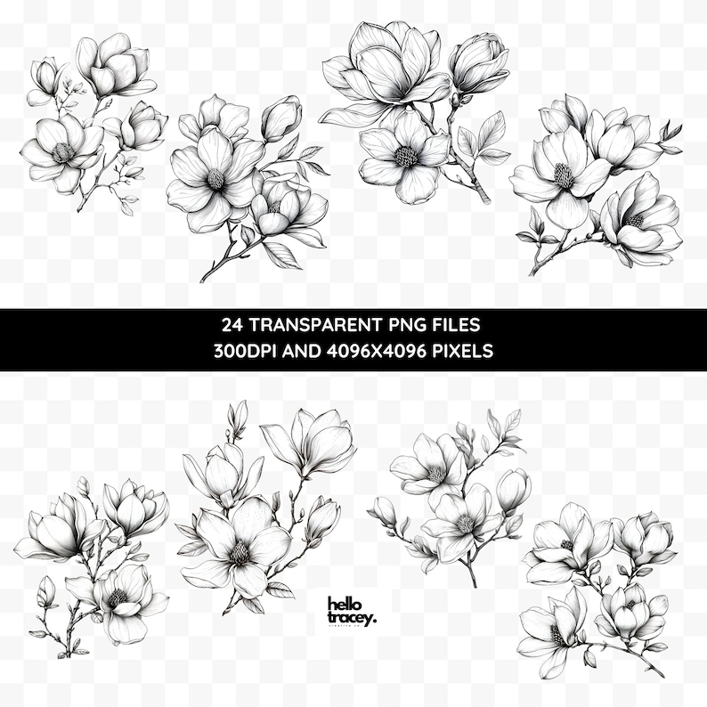 Magnolia Flower Outlines Clipart Pack, Magnolia Floral Clip art for commercial use, Transparent PNGs, Royalty Line Art Flowers