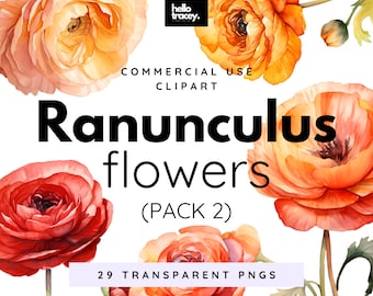 Ranunculus Flowers Clipart Pack, Clip art per uso commerciale, PNG trasparenti, Royalty Free Florals Fiori di ranuncolo rosso pesca arancione