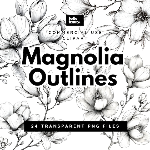 Magnolia Flower Outlines Clipart Pack, Magnolia Floral Clip art for commercial use, Transparent PNGs, Royalty Line Art Flowers