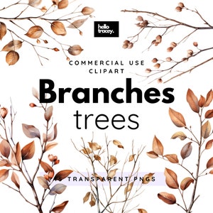Paquete de imágenes prediseñadas de ramas de árboles de otoño invierno, imágenes prediseñadas para uso comercial, PNG transparentes, PNG libres de derechos
