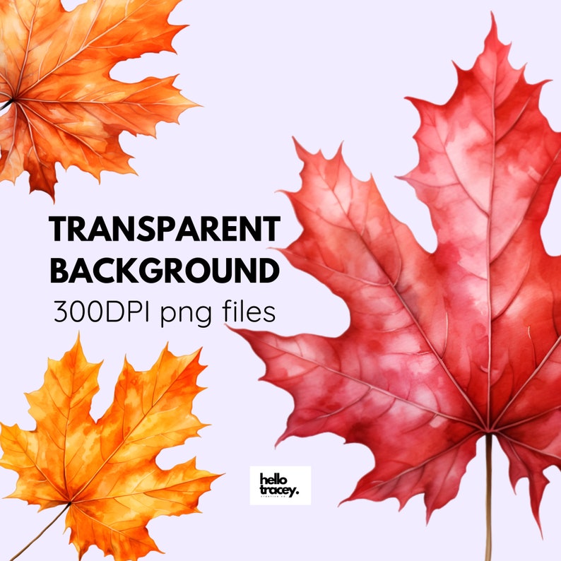 Maple Leaf Clipart PNG, Autumn Leaves Clip Art, Commercial Use ...