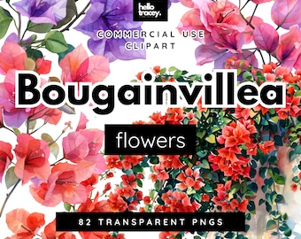 Op de afbeelding: Waterverf schilderij van roze en paarse bougainville bloemen. De afbeelding bevat de tekst "Bougainvillea flowers" en "82 Transparent PNGs".