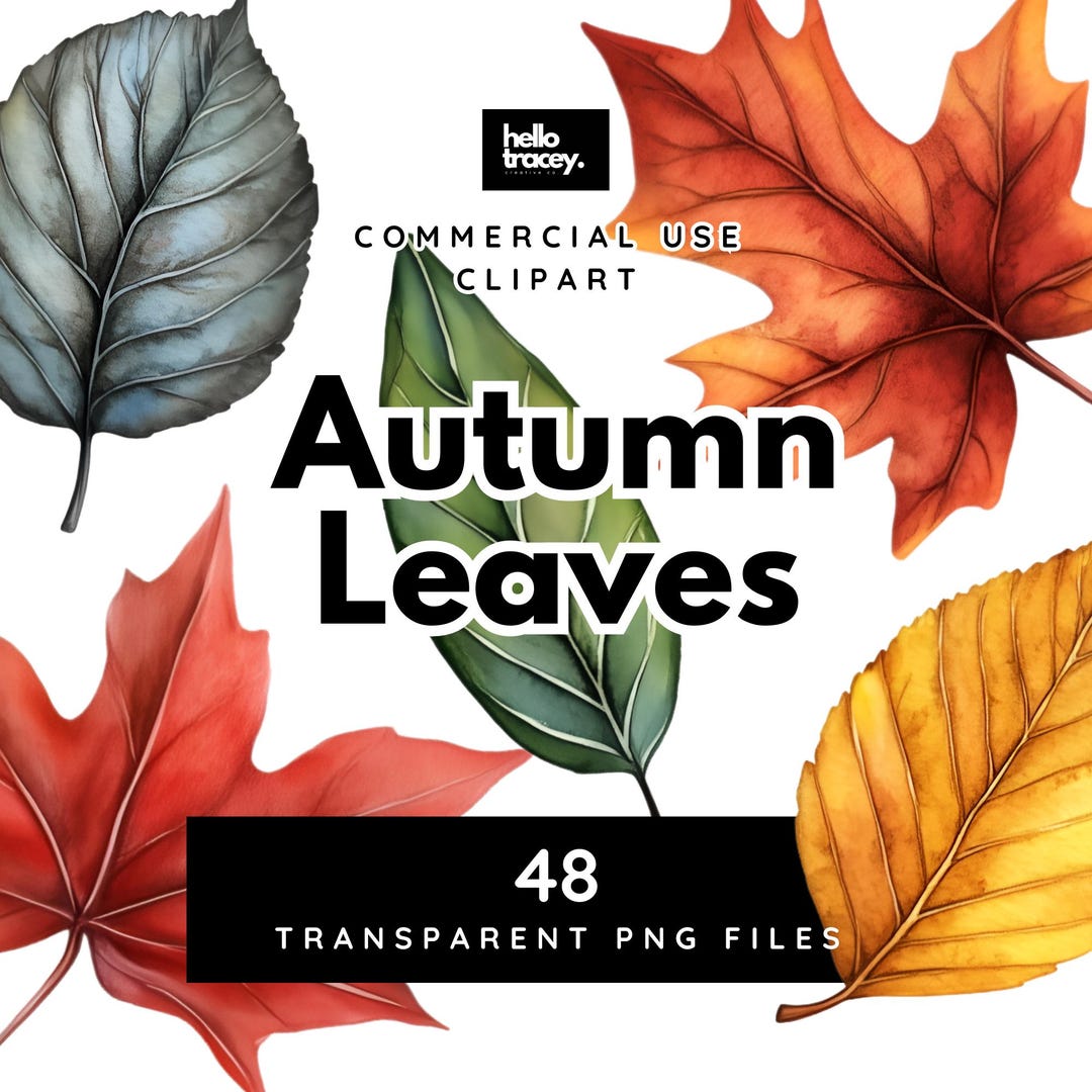Autumn Leaves, Maple Leaf Clipart PNG, Fall Clip Art, Commercial Use ...