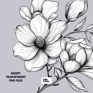 Magnolia Flower Outlines Clipart Pack, Magnolia Floral Clip art for commercial use, Transparent PNGs, Royalty Line Art Flowers