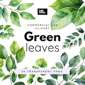Groene bladeren blad clipartpakket, illustraties voor commercieel gebruik, transparante png's, Royalty-vrij groen blad png-groen