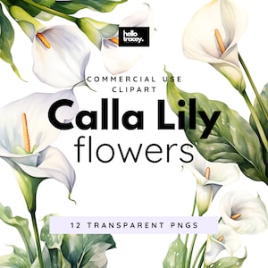 Calla lelie lelies bloemen clipartpakket, illustraties voor commercieel gebruik, transparante png's, Royalty-vrije bloemen bloemen