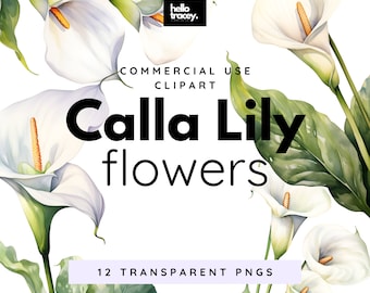 Calla Lily Lillies Flowers Clipart Pack, Clip art per uso commerciale, PNG trasparenti, Fiori royalty free