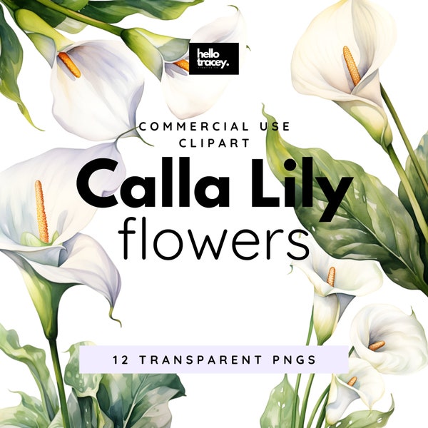 Calla Lily Lillies Flowers Clipart Pack, Clip art for commercial use, Transparent PNGs, Royalty Free Florals Flowers