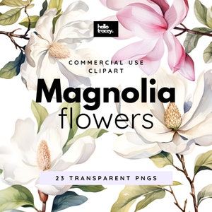 Magnolia Flowers Clipart Pack, illustraties voor commercieel gebruik, transparante PNG's, Royalty-vrije bloemen bloemen bruiloft romantisch