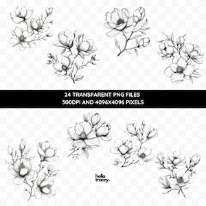 Magnolia Flower Outlines Clipart Pack, Magnolia Floral Clip art for commercial use, Transparent PNGs, Royalty Line Art Flowers
