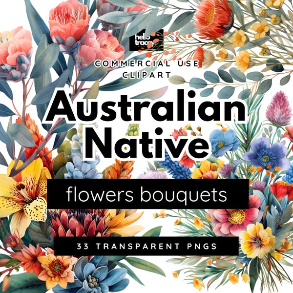 Australian Native Flowers Bouquets Clipart Pack, Protea Flower Clip art for commercial use, Transparent PNGs, Aussie Wildflower Florals