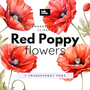 Roter Mohn Blumen, Clipart-Pack, Clip Art für kommerzielle Nutzung, transparente PNGs, Royalty Free Florals Blumen, ANZAC Day Blumen