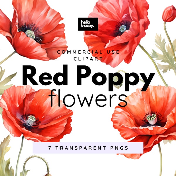 Red Poppy Flowers Clipart Pack, Clip art for commercial use, Transparent PNGs, Royalty Free Florals Flowers, ANZAC Day flowers