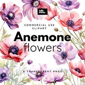 Anemone Flowers Clipart Pack, Clip art for commercial use, Transparent PNGs, Royalty Free Florals Flowers