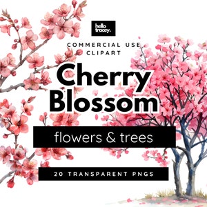 Cherry Blossom Sakura Clipart Pack, Clip art para uso comercial, PNGs transparentes, PNG livres de direitos Galhos de árvores japonesas Flor de ameixa