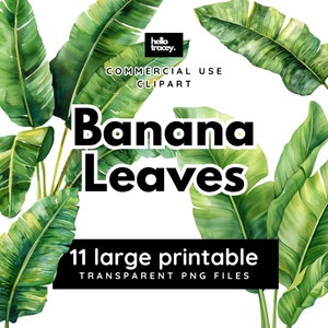 Pack de cliparts de feuilles de bananier, grande feuille PNG, clipart à usage commercial, PNG transparents, PNG haute résolution libre de droits imprimable