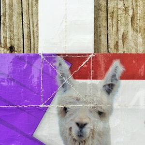 May include: A close-up of a white llama with a smiling expression, set against a backdrop of purple, red, and white panels. The image is stitched together with white thread, and the background includes wooden planks.