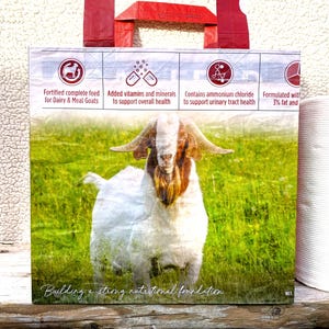 Bolsa de alimentación reciclada, bolsa de mano reutilizable, bolsa de supermercado, bolsa de compras reciclada, bolsa de supermercado reutilizable, bolsa de mano reciclada, bolsa de mano para cabras