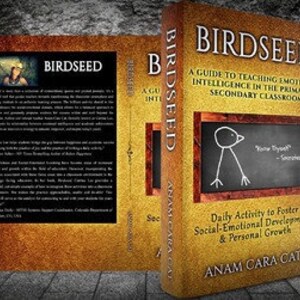 Social Emotional Learning High School Social-Emotional Learning Middle School Writing Prompts High School Bell Ringer Homeschool Writing