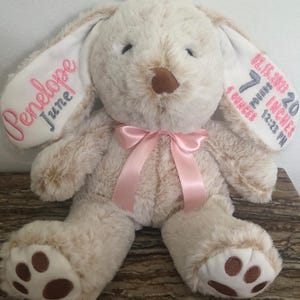 Bunny with Birth Announcement embroidered on ears