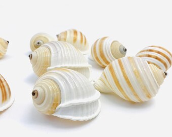 Bernard L Hermite Etsy