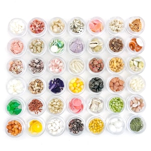 Puede incluir: Una colección de pequeños recipientes de plástico transparente llenos de diversas conchas marinas y elementos decorativos. Los recipientes están dispuestos en un patrón de cuadrícula, mostrando una variedad de colores y texturas, incluyendo blanco, rosa, marrón y verde. Vista superior.