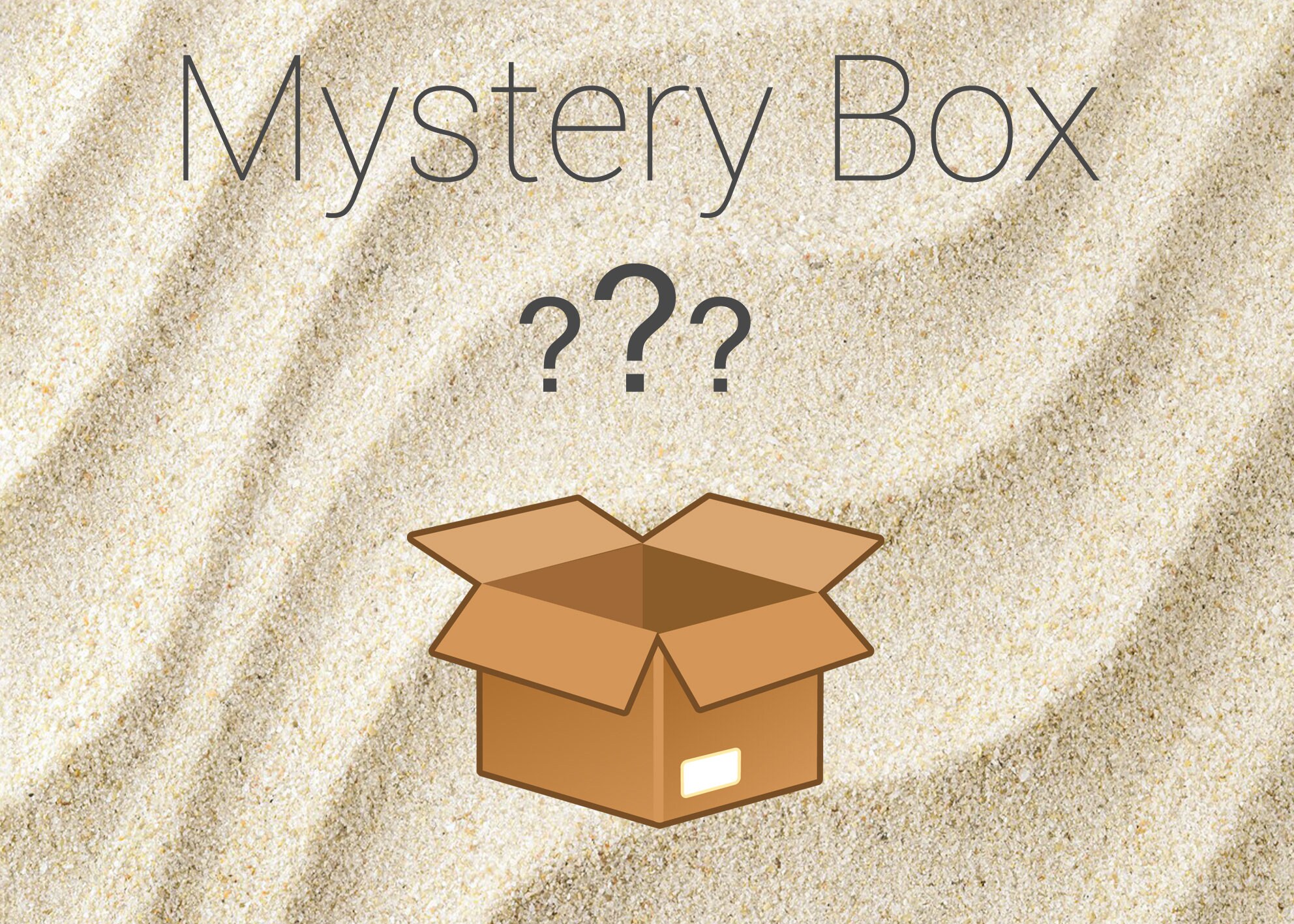 Mystery Box, Coquillage, Cadeau, Boite Mystère