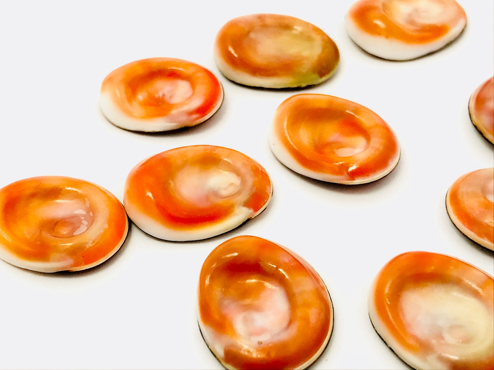 Œil de sainte lucie yeux sainte lucie œil de shiva - Etsy France