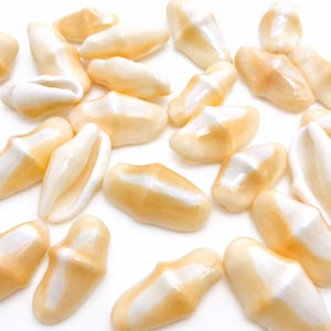 Pode incluir: Uma coleção de contas em forma de dente, branco perolado e castanho claro, espalhadas sobre uma superfície branca. As contas têm um acabamento brilhante e uma aparência naturalista, assemelhando-se a dentes reais.